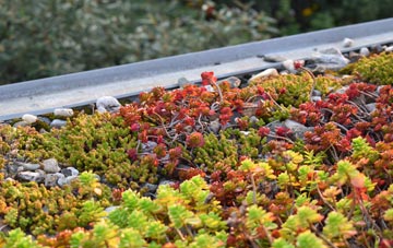 the cost of Denside green roof installation