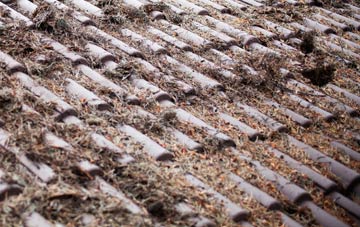 Denside roof cleaning companies